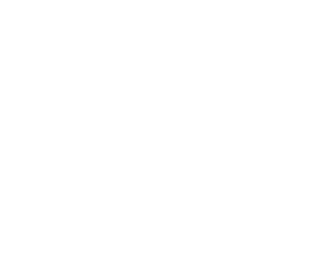 negole-negocios-leone-star-kist-logo-catching-company-posorja-ecuador-294-253-C