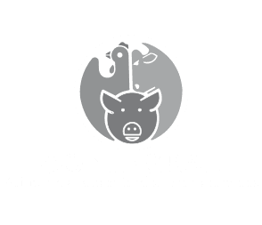 negole-negocios-leone-contegral-logo-catching-company-posorja-ecuador-294-253-C